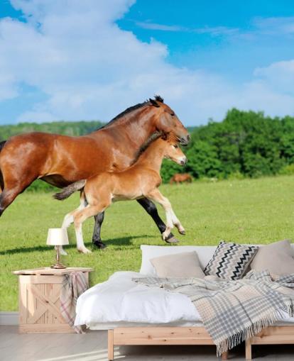Fondo de pantalla de caballo y potro corriendo en el campo
