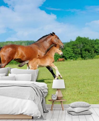 Fondo de pantalla de caballo y potro corriendo en el campo