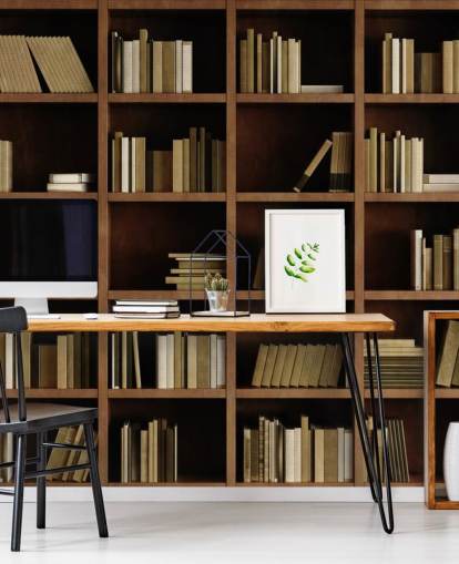 Carta da parati con libreria marrone