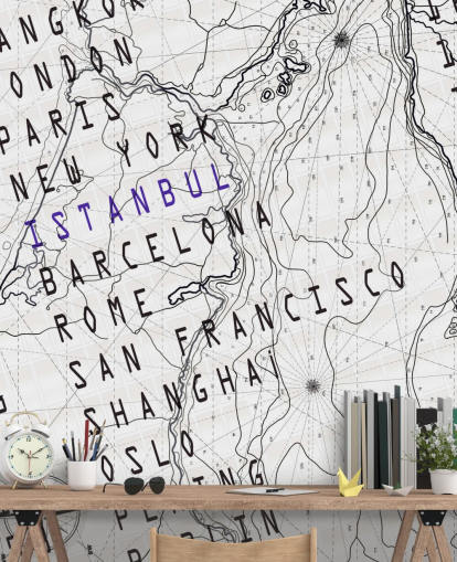 Mural Mapa blanco y negro