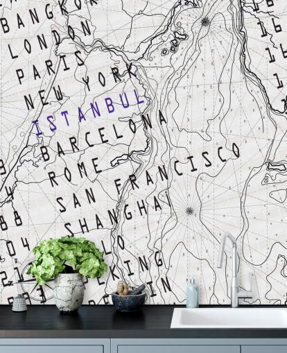 Black and White Map Mural