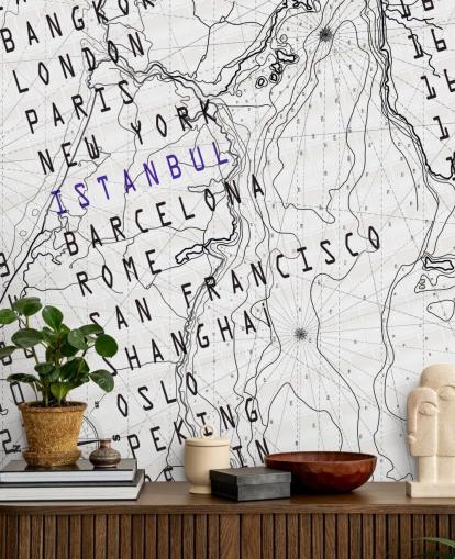 Black and White Map Mural