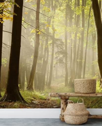 Woodland Wallpaper