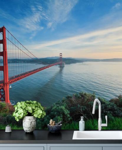 Fondos de red bridge view