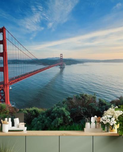 Fondos de red bridge view