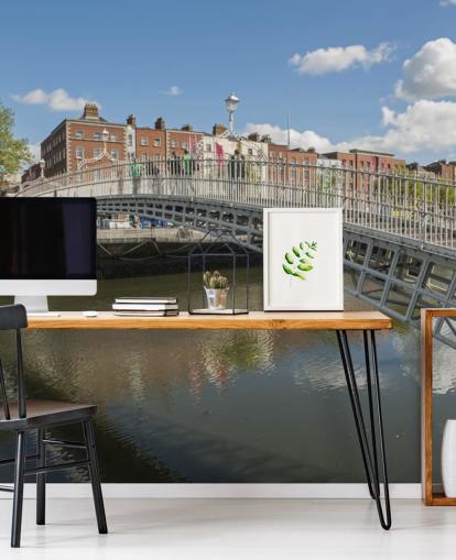 Hapenny Bridge in Dublin Ireland Wall Mural