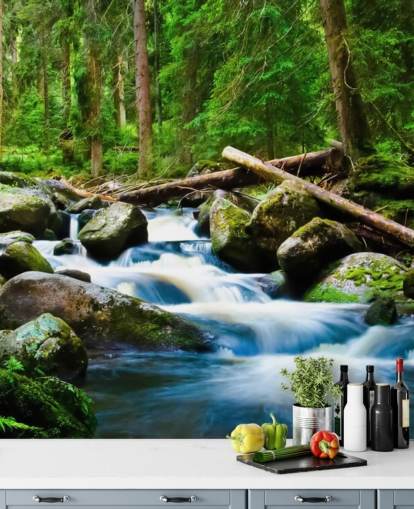 Small Forest Waterfall Wall Mural