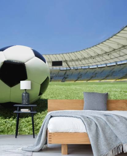 Football Stadium Wall Mural