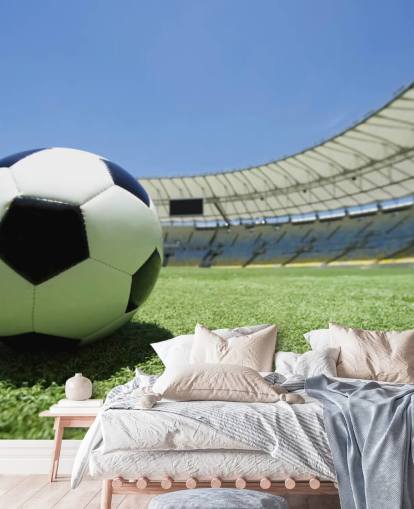 Football Stadium Wall Mural