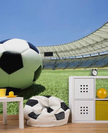 Football Stadium Wall Mural