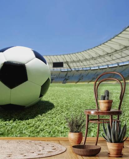 Football Stadium Wall Mural