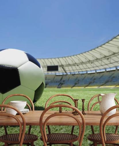 Football Stadium Wall Mural