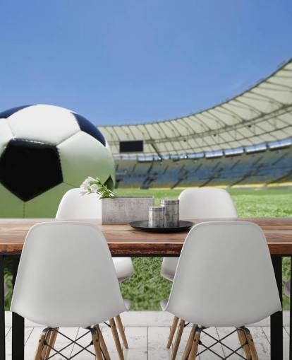 Football Stadium Wall Mural