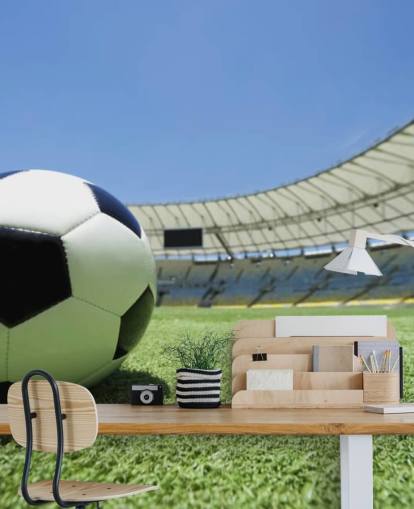 Football Stadium Wall Mural Football Stadium Wall Mural