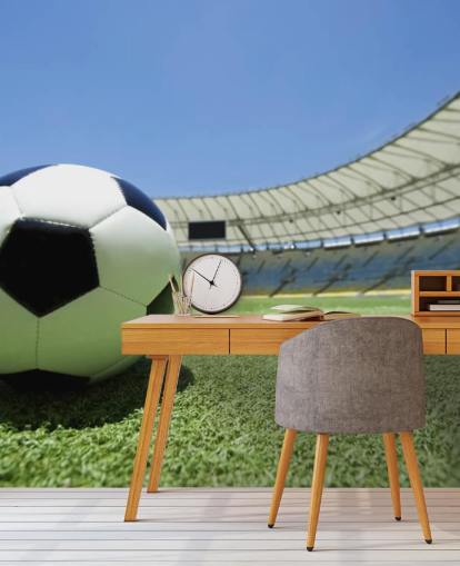 Football Stadium Wall Mural