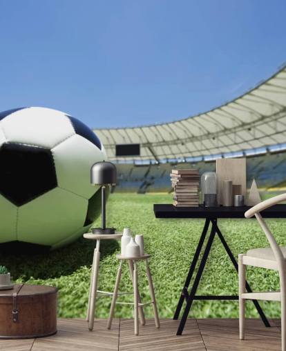 Football Stadium Wall Mural