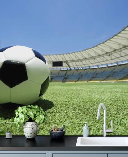 Football Stadium Wall Mural