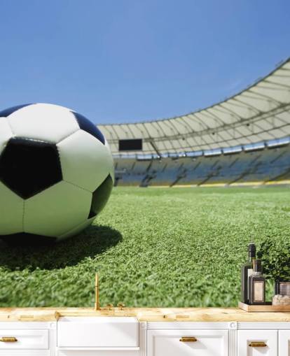 Football Stadium Wall Mural