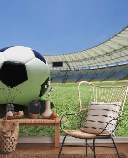 Football Stadium Wall Mural