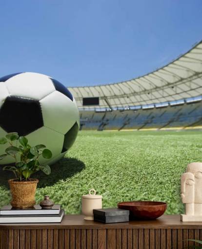 Football Stadium Wall Mural