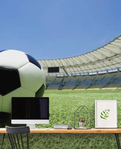 Muurschildering voetbalstadion Muurschildering voetbalstadion