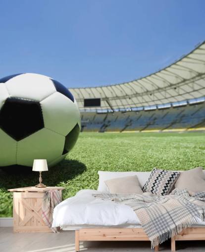 Football Stadium Wall Mural