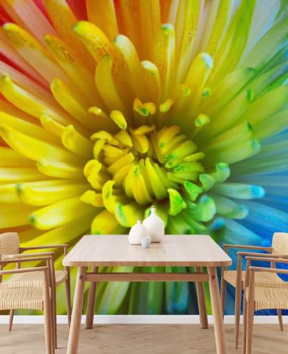Rainbow Flower Wallpaper Mural