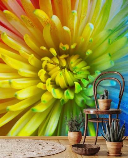 Rainbow Flower Behang Muurschildering