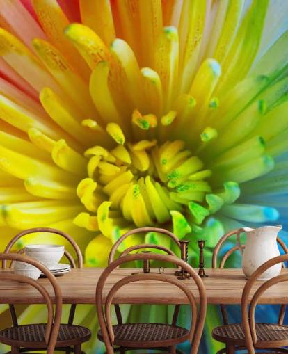 Rainbow Flower Behang Muurschildering