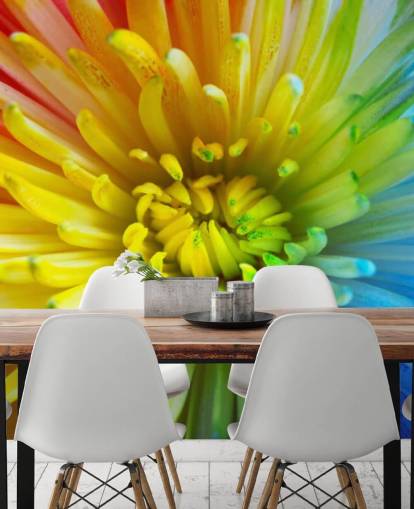 Papel pintado Flor arcoíris