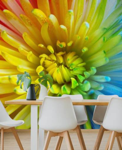 Rainbow kukka Taustakuva Seinämaalaus Rainbow kukka Taustakuva Seinämaalaus