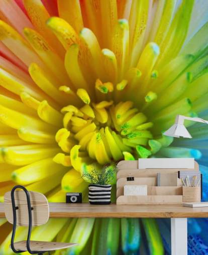 Papel de parede Rainbow Flower