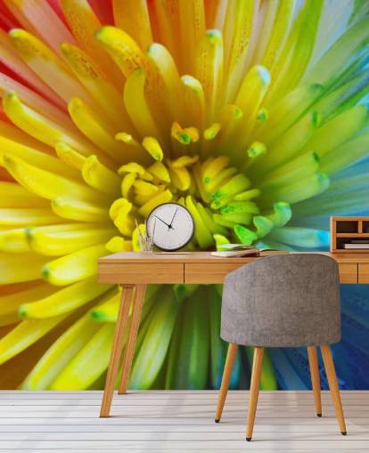 Regenbogen-Blumen-Fototapete Regenbogen-Blumen-Fototapete