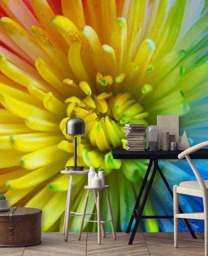 Rainbow Flower Bakgrunn Mural Rainbow Flower Bakgrunn Mural