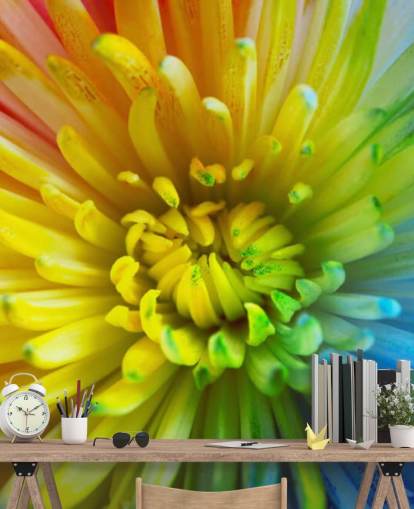 Papel pintado Flor arcoíris