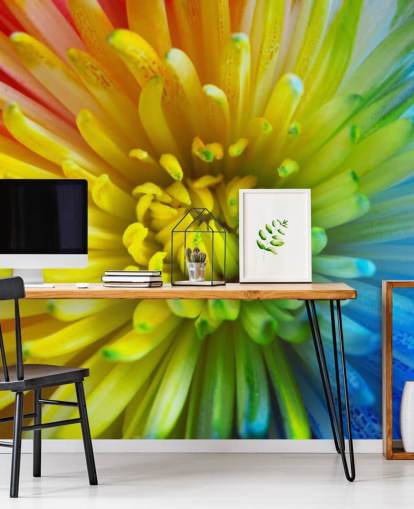 Regenbogen-Blumen-Fototapete