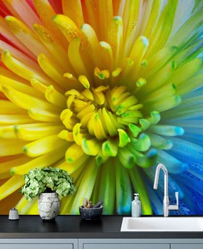 Rainbow Flower Wallpaper Mural