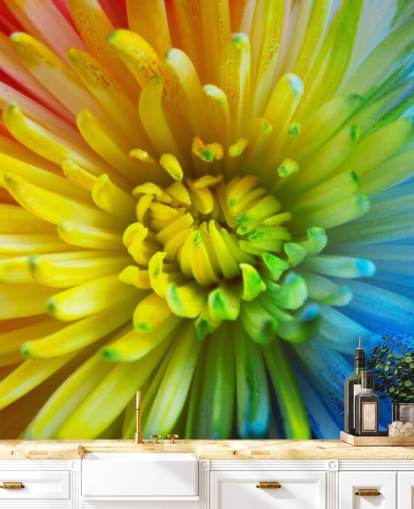 Rainbow Flower Bakgrunn Mural