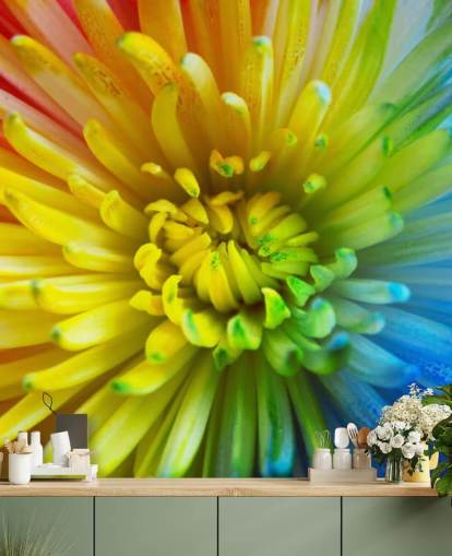 Rainbow Flower Wallpaper Mural
