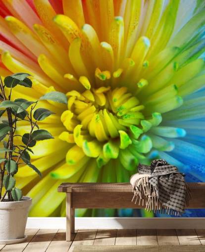 Rainbow Flower Behang Muurschildering Rainbow Flower Behang Muurschildering