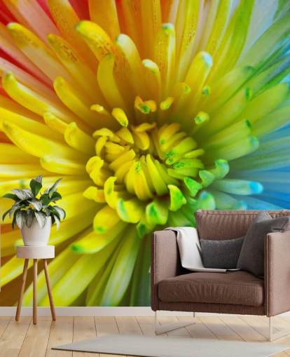 Rainbow Flower Wallpaper Mural Rainbow Flower Wallpaper Mural