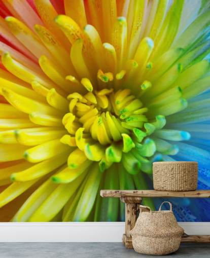 Rainbow Flower Wallpaper Mural