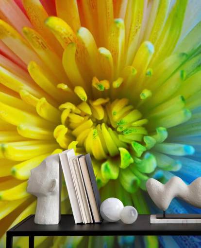 Regenbogen-Blumen-Fototapete