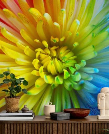 Rainbow Flower Wallpaper Mural