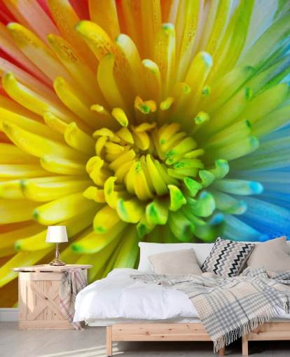 Carta da parati murale con fiori arcobaleno