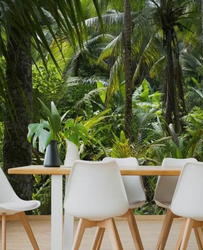 Photograph of Green Jungle Scene Wallpaper Photograph of Green Jungle Scene Wallpaper