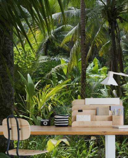 Fotografi af Green Jungle Scene Baggrund