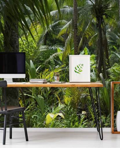 Fotografi av Grønn Jungle Scene Bakgrunn