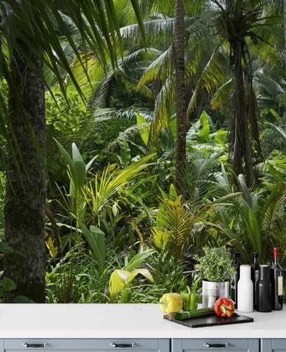 Fotografi av Grønn Jungle Scene Bakgrunn