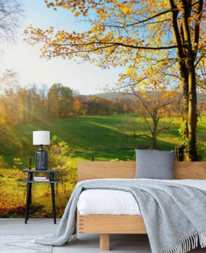 grøn og orange skov tapetmaleri kaldet Autumn Pathways til køkkener, kontorer og virksomheder